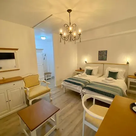 Guest house Pensiunea Charlotte Boutique 5*