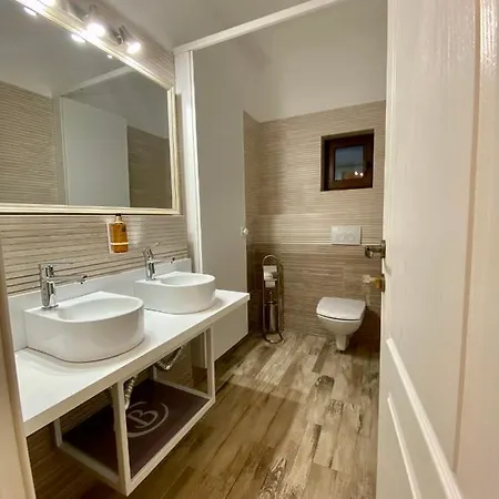 Guest house Pensiunea Charlotte Boutique Bacau